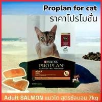 ราคา arspheshop แบบพกพา PRO PLAN 7กก.Exp.02/2025 ADULT CAT SALMON โปรแพลน อาหารแมวโต สูตรปลาแซลมอน ชนิดเม็ด proplan เม็ด แมว (1730328999003719967)