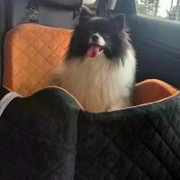 ราคา เบาะนั่งสุนัข PetSafe & carsafe ขนาดเล็ก/กลาง เบาะนั่งสุนัขนุ่ม 15.24 ฐานกันลื่น ผ้าเช็ดตัวดูดซับแรง จับแข็งแรง เหมาะสำหรับรถยนต์ รถบรรทุก SUV และสุนัขขนาดเล็ก (1731287522387199056)