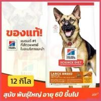 ราคา absolushop ความคงทน [หมดอายุ 03/2025] Hill's ฮิลส์ อาหารสุนัข 6+ สูตร Science Diet Adult Large Breed สำหรับ พันธุ์ใหญ่ 6 ปี ขึ้นไป 12 kg ขนม แมว เลีย (1730410029061540419)