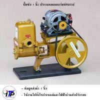 ราคา ปั๊มน้ำ INTERPORT ปั้มน้ำโซล่าเซลล์ ปั้มชัก 1 นิ้ว ประกอบมอเตอร์มหัศจรรย์ (universal motor) ต่อตรง แผงโซล่าเซลล์ (1729906801571564084)