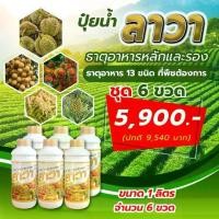 ราคา ลาวา ปุ๋ยน้ำและฮอร์โมนพืช มีธาตุอาหารหลักธาตุอาหารรอง บรรจุ 1 ลิตร 6 ขวด (1732240251869694370)