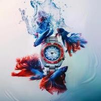 ราคา นาฬิกาข้อมือ Seiko Prospex Siamese Fighting Fish Limited Edition รหัส SRPL17K ขนาด 45 มิลลิเมตร ผลิตเพียง 1,500 สินค้าของแท้ รับประกันศูนย์ 3 ปี ไซโก้ลิมิเต็ดอิดิชั่น ปลากัดไทย (1731077383286197145)