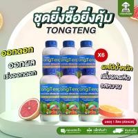 ราคา โตงเตง โปรยิ่งซื้อยิ่งคุ้ม 6 ลิตร อาหารเสริมพืชเร่งดอกเร่งผล ดอกดก ขั้วเหนียว ผลได้น้ำหนัก สีชัด รสหวาน (1731772944869067404)