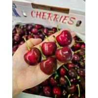 ราคา เชอรี่อเมริกา USA เบอร์ 8.5 (ตราระฆัง) 5 กิโลกรัม เชอรี่ Tieton นำเข้าจากอเมริกา จัดส่งด้วยขนส่งแช่เย็น (1730429749377141443)