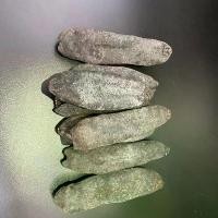 ราคา ปลิงทะเล ปลิงทะเลตากแห้งอย่างดี ( Haishen )ขนาด 500g #พร้อมส่ง# ปลิง ปลิงทะเลมีประโยชน์คล้ายโสม เป็นอาหารบำรุงร่างกายที่ดีมาก (1729529333853227955)