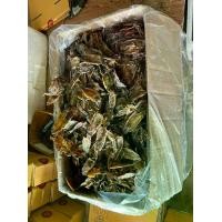 ราคา ปลาหมึกกะตอยแห้งแบบไม่เค็ม ราคาส่ง 10 กิโล ราคา 3800 บาท (1730002775136832124)