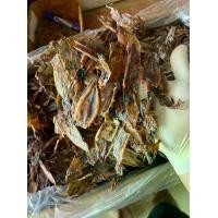 ราคา ปลาหมึกกะตอยแห้ง ราคาส่ง 10 กิโล ราคา 3800 บาท เกรดA (1730002803915066141)