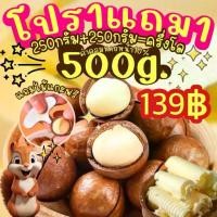 ราคา COD Flash Sale 1แถม1 แมคคาเดเมีย 250g.+250g. ได้2ถุง ครึ่งโล เม็ดใหญ่ เปลือกบาง เนื้อเยอะ ตุ๊กกี้ตัวแสบ (1731938535037896840)