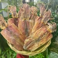 ราคา หมึกผ่าหนัง 7 นิ้ว เนื้อหนาเนื้อหวาน สดใหม่ ไม่เค็ม 1 Kg. ราคาส่ง (1731145477133928690)