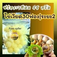 ราคา ไข่ลูกเป็ดเวียดนาม 30 ฟอง + กระเทียมโทนดอง 50 กรัม ฟรี century egg ไข่ไก่อภิชาติฟาร์ม ไข่ เป็ด ฮ้างฮัง นกกระทา ต้ม ต้ท เมนูไข่ หลัง ลูกไก่ ไข่เยี่ยวม้า 1 ลูก (1730715780473588125)