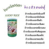 ราคา ข้าวกล้องงอก ข้าวกล้อง ชนิดผงชงดื่ม Lucky Rice มีสารกาบาสูง ขนาด 250 กรัม (1730285725610838863)