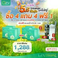 ราคา [5.5 โปร 4 แถม 4 ]**Ozy DTX Chlorophyll โอซี ดีทีเอ็กซ์ คลอโรฟิลล์ แถมฟรี กระบอกน้ำ (เลือกสีได้) (1732173736157350777)