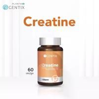 ราคา Gentix ผลิตภัณฑ์เสริมอาหาร Creatine (1 กระปุก 60 แคปซูล) (1731206230927640366)