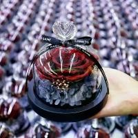 ราคา โดมแก้วดอกไม้นิรันดร์กุหลาบจริง ดอกไม้สดระดับไฮเอนด์ ของขวัญวันเกิดสำหรับผู้หญิง ของขวัญเทศกาล Qixi อสส ไม้ ใบ กระบือ ทํา พานไหว้ ครู ต้น ใบตอง หอม ซาก บอนไซ แมงดา ลวด กํา มะ หยี (1731828847979955801)