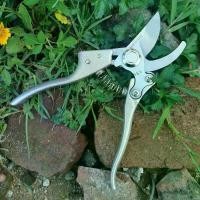ราคา ขนาด 8 นิ้ว กรรไกรตัดกิ่ง คีมตัดกิ่ง โซโล ตัดกิ่งไม้ โซโล กรรไกร คีม ตัดกิ่ง งานสวน ตกแต่งส่วน - ของแท้จากตัวแทนจำหน่าย (1730519062445263691)