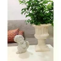 ราคา HMT กระถางแคคตัส แจกัน โรมัน(ใหญ่) (1729607282454203056)