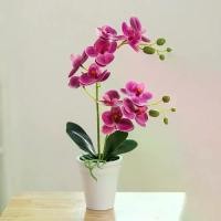 ราคา ดอกไม้ปลอมตกแต่งบ้าน แจกัน การจัด กล้วยไม้ประดิษฐ์สดใส บอนไซ กระถาง สัมผัสจริง จำลองเหมือนจริง ฟาแลนนอปซิส 11 หัวพร้อมใบไม้ ดอกกล้วยไม้ประดิษฐ์ เหมาะสำหรับห้องนั่งเล่น (1731908214781871868)