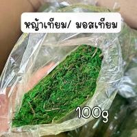 ราคา มอสเทียม มอสประดิษฐ์ มอสปลอม มอสแห้ง หญ้าเทียม หญ้าปูกระถาง แจกัน 100 กรัม พร้อมส่ง (1730052760890214718)