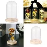 ราคา พืช โคมไฟนางฟ้า โถ กระจก Terrarium แจกัน ฐานไม้ กล่องเก็บดอกไม้ ฝาครอบกันฝุ่น Cloche แก้ว (1731574975274781116)