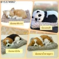 ราคา videoลด30% ตุ๊กตาดูดกลิ่น ช่วยลดกลิ่นอับ ตุ๊กตาหมา ตุ๊กตาแมว หมีแพนด้า จิ้งจอก น่ารักฝุดๆๆๆๆ (1731991466172188518)