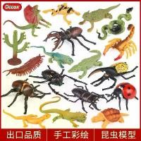 ราคา โมเดลสัตว์, ของเล่นศัตรูพืชจำลอง, สำหรับเด็ก, กิ้งก่าร่ม, ตัวต่อ, แมงมุม, แมงป่อง, แมงป่อง, ตุ๊กตาแมลงปอ (1731304571346126775)