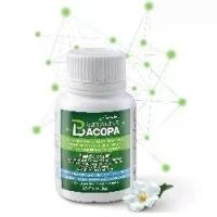 ราคา บาโคพา กิฟฟารีน สารสกัดพรมมิ วิตามินซี บี6 บี12 อาหารเสริม Bacopa Giffarine 60แคปซูล (1730436579290876258)