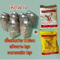 ราคา (โปรพิเศษ)ชุดเพาะเห็ดฟาง10ก้อน +อาหารเสริม1ถุง +แป้งเพาะเห็ด1ถุง (1732302673162307131)