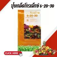 ราคา ปุ๋ย ปุ๋ยกิฟฟารีน เกล็ดโกรแม็กซ์ สูตร 6-20-30 (1732635521328842490)