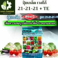 ราคา ปุ๋ยเกล็ด เวสโก้ WESCO ปุ๋ย 21-21-21 +TE(ธาตุรองเสริม) บรรจุ 5 กิโลกรัม (1729903473171925043)