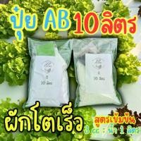 ราคา ปุ๋ย AB ปุ๋ยธาตุอาหาร AB สูตรเข้มข้น (**10 ลิตร**) ปุ๋ย เอบี สารอาหารครบ โตไว (1731233759719491517)