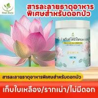 ราคา 【Green Source】ปุ๋ยบัวชามบัว ปุ๋ยทางใบ ต้นบัวดิน ดอก ปุ๋ย ปุ๋ย 0 52 34 300g (1731711106350220758)