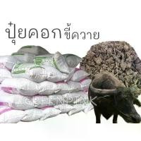ราคา ขี้ควาย ตากแห้ง ปุ๋ยคอก 1 กระสอบ (20กิโล) # มูลควาย ควาย ขี้ควายแห้ง มูลวัว ปุ๋ยขี้วัว ปุ๋ยขี้ควาย ดินปลูก ปุ๋ย (1731339520525830091)