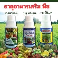 ราคา ชุดธาตุอาหารเสริมพืช กระตุ้นให้พืชเจริญเติบโตได้ดี พืชเขียว เพิ่มธาตุอาหารให้กับพืช ปุ๋ย ทาง ใบ (1730584386511341582)