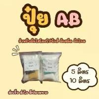 ราคา ปุ๋ย AB ชุด 5 ลิตร, 10 ลิตร สำหรับผักไฮโดรโปนิกส์ ผักสลัด ผักไทย (1731923431926170701)