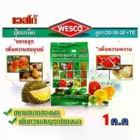 ราคา WESCO ปุ๋ย ปุ๋ยเกล็ด เวสโก้ 20-10-30+TE บรรจุ 1 กิโลกรัม (1729783567517780019)