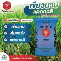 ราคา ปุ๋ย36-0-0(ตราเพชร) กระสอบ50กิโล ปุ๋ยไนโตรเจนสูง แม่ปุ๋ยเยอะ ต้นเขียว ต้นแกร่ง แตกกอดี (1732455562552509893)
