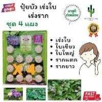 ราคา ปุ๋ยบัว เร่งใบ ราก แผง ปุ๋ยบอน Golden Flower บัว ปุ๋ย (1730715052441700831)