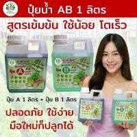 ราคา ปุ๋ยน้ำ AB ไฮโดรโปนิกส์ 1 ลิตร (A+B) สูตรเข้มข้น ใช้น้อย โตเร็ว สำหรับผักสลัดและผักสวนครัว ปุ๋ย (1732645816280778648)