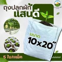 ราคา ถุงปลูกสีขาวแสนดี 10x20 นิ้ว 5 ใบ/แพ็ค ถุงเพาะปลูก ถุงเพาะชำ ถุงเพาะ ระบายน้ำดี ปุ๋ย น้ํา ทาง พริก (1732328458717333244)