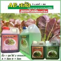 ราคา ปุ๋ย AB ไฮโดรโปนิกส์ AB สลัด ผักสลัด ผักไทย จีน บรรจุ 1 ลิตร ซื้อ 1 ได้ 2 แกลลอน (A+B) (1729740061597993146)