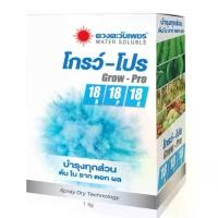 ราคา โกรว์-โปร สูตร 18-18-18 (ชนิดผง) (Grow-Pro) สเปรย์ดราย ขยายผล ขยายใบ ขยายต้น #ดวงตะวันเพชร ปุ๋ย ขนาด 1 กิโลกรัม (1730961807529642706)