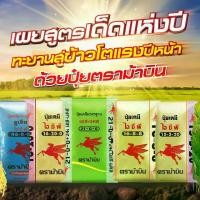 ราคา ปุ๋ย กระสอบ -ปุ๋ย ตรา ม้าบิน ขนาด 50 กก. ใช้บำรุง ในพืชผัก และ ไม้ (1731240455913506316)