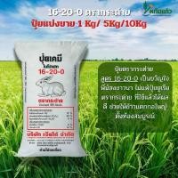 ราคา ปุ๋ย 16-20-0 ตรากระต่าย ** 1กิโล/5 กิโล/10 กิโล (1732511391173215826)