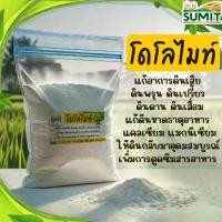 ราคา โดโลไมท์ ปุ๋ย ปรับสภาพดิน ดินเหนียว เป็นกรด ดินแข็ง ดินเปรี้ยว เพิ่มแคลเซี่ยม แมกนีเซียม ให้พืช (1732316878970717975)