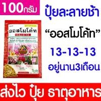 ราคา ปุ๋ยออสโมโค้ท (สูตร13-13-13) ออสโมโค้ท ขนาด100กรัม ปุ๋ย ปุ๋ยออสโมโค้ท ปุ๋ยเม็ดละลายช้า ปล่อยธาตุอาหารต่อเนื่อง Clearance (1731776083000134185)