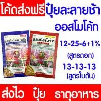 ราคา ปุ๋ยออสโมโค้ท ออสโมโค้ท ขนาด100กรัม ปุ๋ย ปุ๋ยออสโมโค้ท ปุ๋ยเม็ดละลายช้า ปล่อยธาตุอาหารต่อเนื่อง Clearance (1731776103847791145)