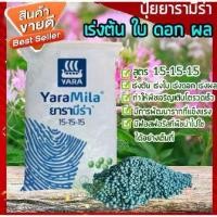 ราคา ปุ๋ย ยาร่าสูตร 15-15-15 ปุ๋ยเคมี ปุ๋ยเร่งต้น ปุ๋ยเร่งใบ ปุ๋ยเร่งราก เร่งดอก เร่งผล ใส่ผัก ผลไม้ ปุ๋ยใส่ต้นไม้ (แบ่งขาย) (1729653584441150317)