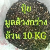ราคา ปุ๋ย มูล ด้วงกว่าง 10 กก. 99 บาท ใช้ทำน้ำหมักปุ๋ย ชีวภาพได้ ใช้ได้ดีในพืชให้ใบ และดอก ช่วยเร่งต้น เร่งใบ ปริมาณ(n) ไนโตรเจน สูงกว่าปกติมาก เหมาะสำหรับพืชอายุสั้น (1729936843259087740)