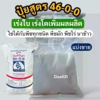 ราคา ปุ๋ยเคมี สูตร 46-0-0 ยูเรีย 1kg ช่วยเร่งการเจริญเติบโตของพืช ช่วยเสริมใบและลำต้นให้มีสีเขียวเข้ม ปุ๋ย สูตรเสมอ 15-15-15 (1731254755087976226)
