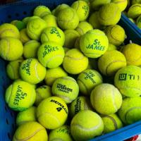ราคา ลูกเทนนิสมือสอง ใช้ฝึก ซ้อม ตีเล่น tennis wilson st.james dunlop fort (1731240077641680473)